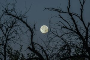 volle-maan-intenties