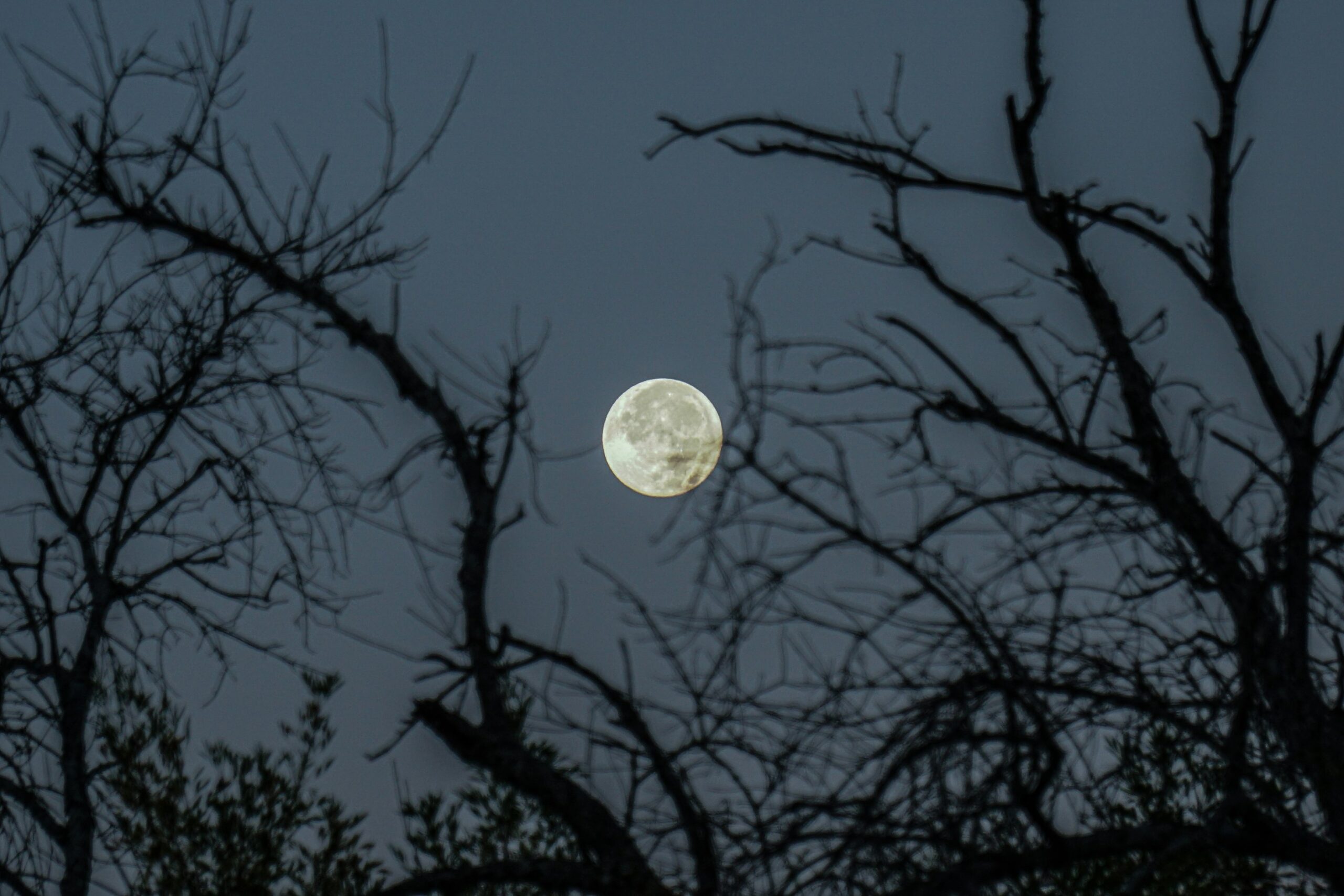 volle-maan-intenties